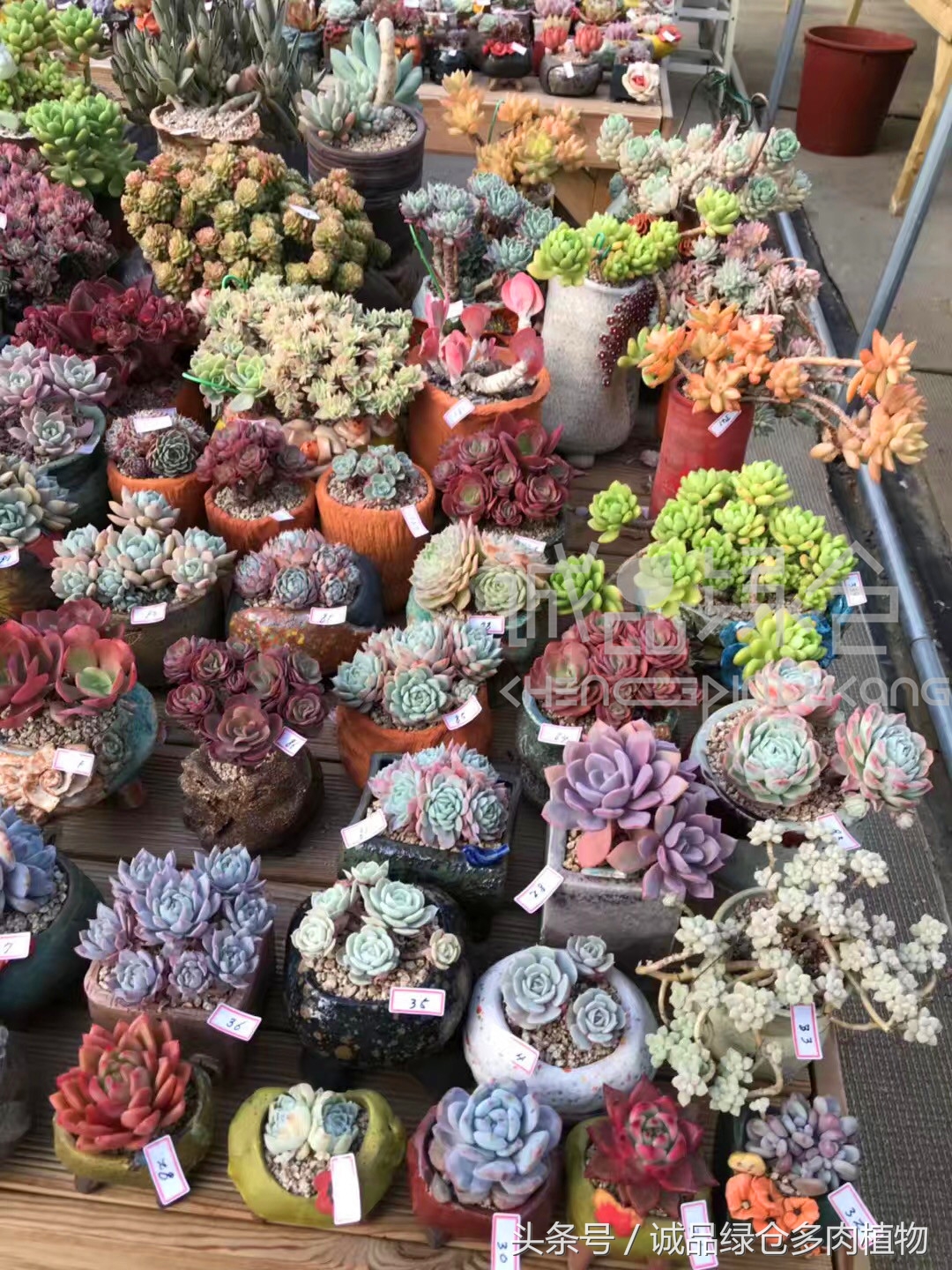 满足你对的所有幻想,满足你对生活所有的想象