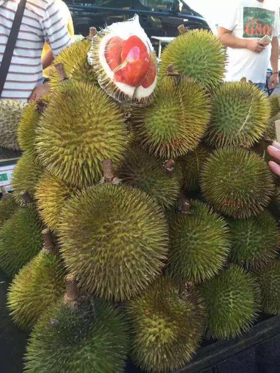 椹潵瑗夸簹娲涘厠灏间簹閽撳満,椹潵瑗夸簹閽撳満