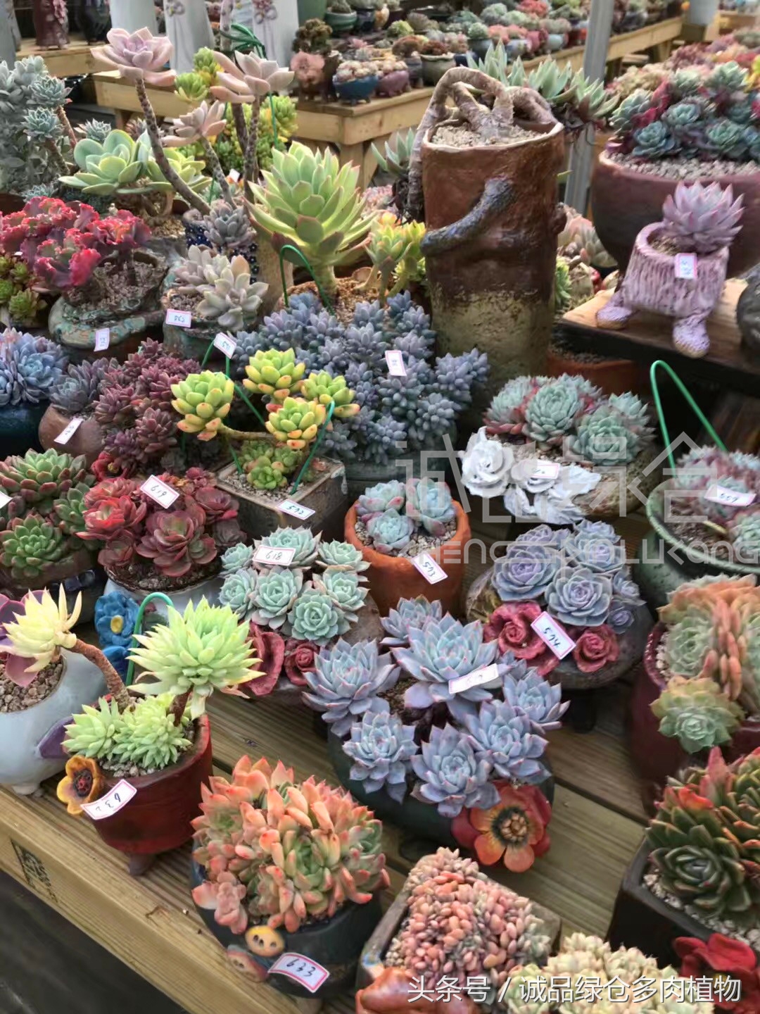 满足你对的所有幻想,满足你对生活所有的想象