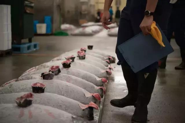 日本的海鲜市场现在最新情况,日本青森海鲜市场