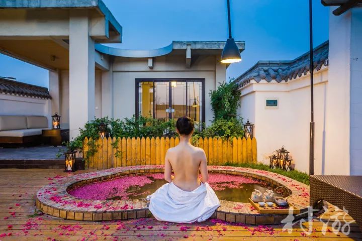 报告老板有几季,报告老板从哪里火的