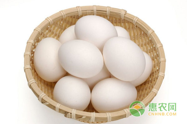鸡蛋行情走势今日鸡蛋价格,今日鸡蛋价格河北鸡蛋还涨吗