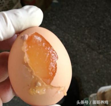鸡蛋冻了,鸡蛋冻着了