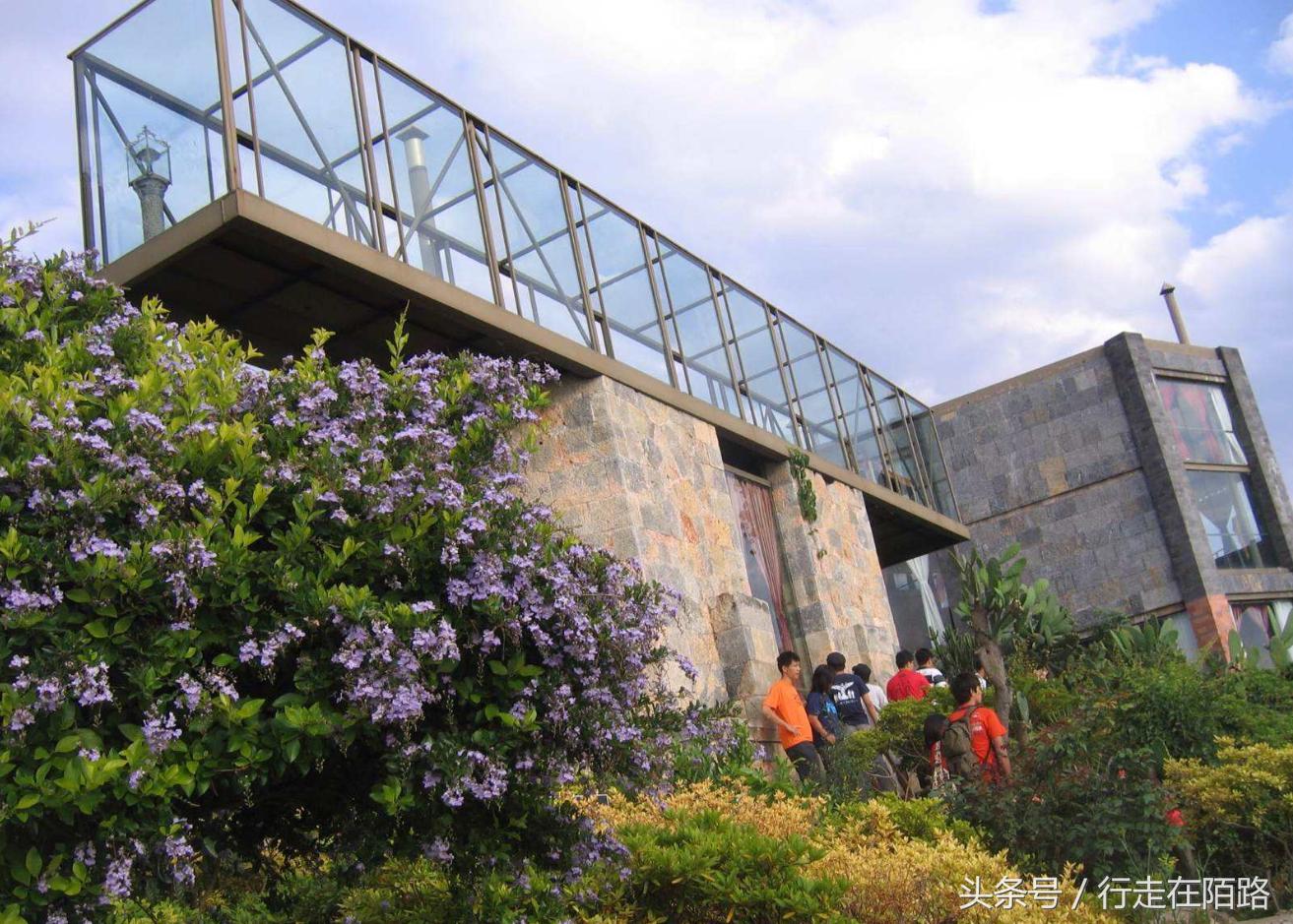 洱海杨丽萍月豪宫被拆除没,杨丽萍酒店叫什么名字