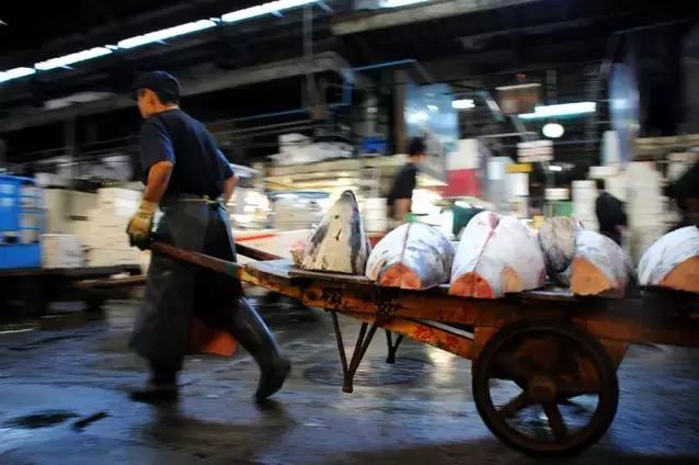 日本的海鲜市场现在最新情况,日本青森海鲜市场