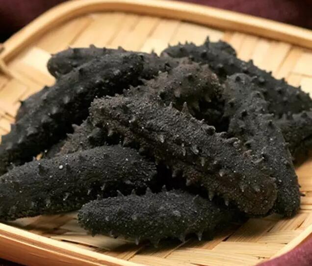 海参也有很多种,全世界所有可以吃的海参