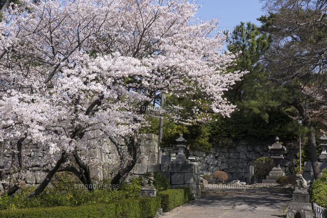 日本九州福冈美食一条街,福冈必去景点推荐