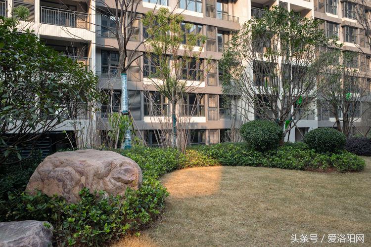 洛阳正商城附近楼盘,洛阳正商城是经济房还是商品房