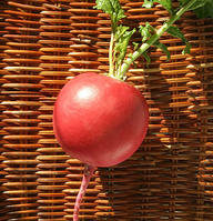 冬吃萝卜夏吃姜如今吃萝卜正当季,冬吃萝卜夏吃姜这样吃萝卜很健康