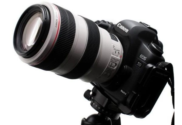 春之物语佳能EF70-300mmf4.0-5.6ISUSM日本猎影