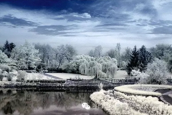 呼伦贝尔旅游自由行攻略,第一次呼伦贝尔自由行