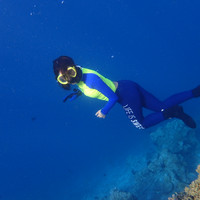 马尔代夫神仙珊瑚岛攻略,马尔代夫神仙珊瑚岛视频