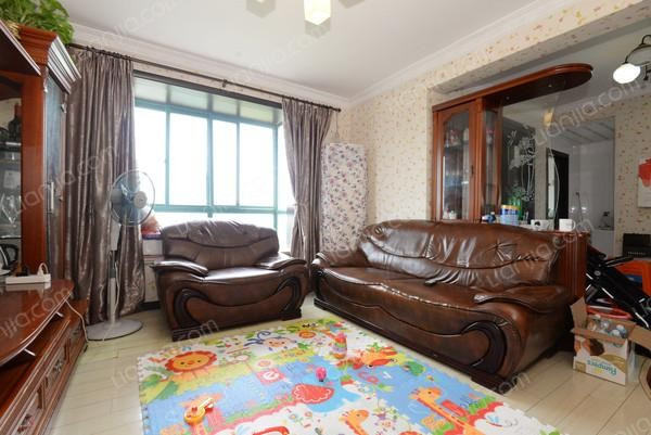 莘闵别墅区两室一厅租,上海莘闵别墅288平方