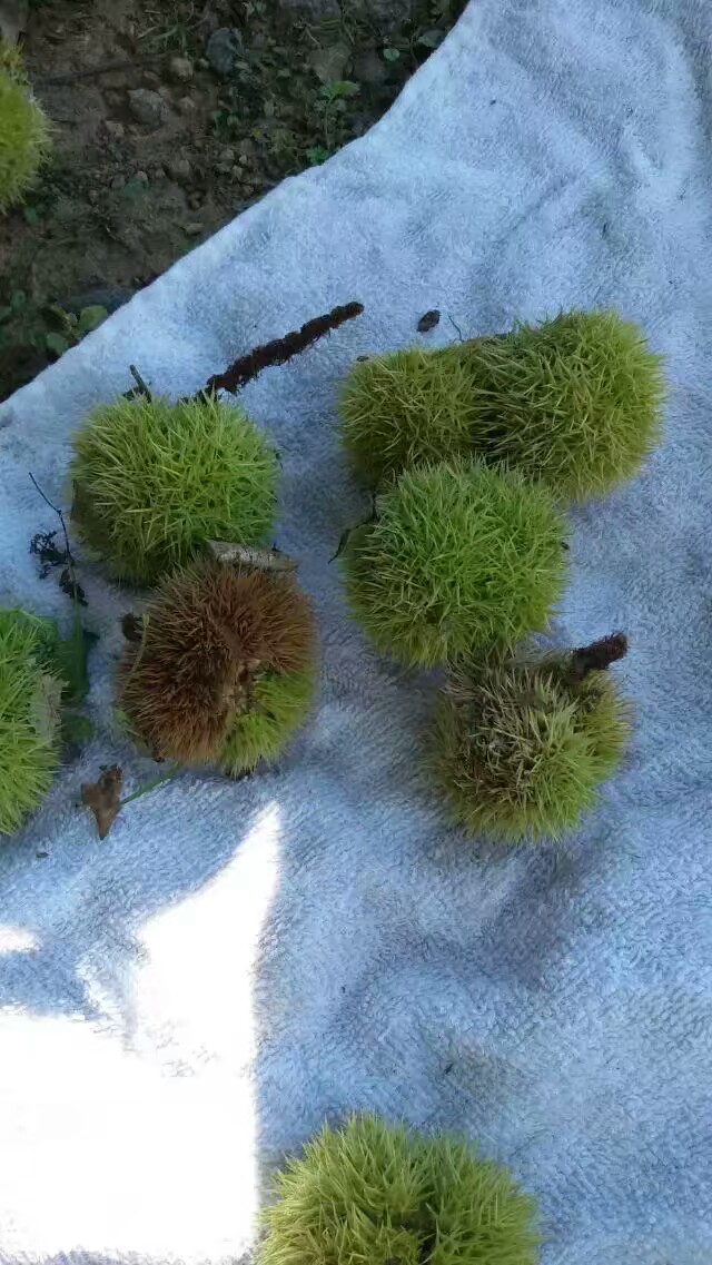 自驾游西峪水库,迁西大黑汀水库自驾游