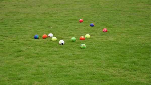 好天气不出门晒太阳,大好的天气不出门