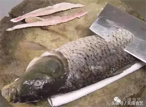 金毛狮子鱼的做法视频教程,金毛狮子鱼怎么做