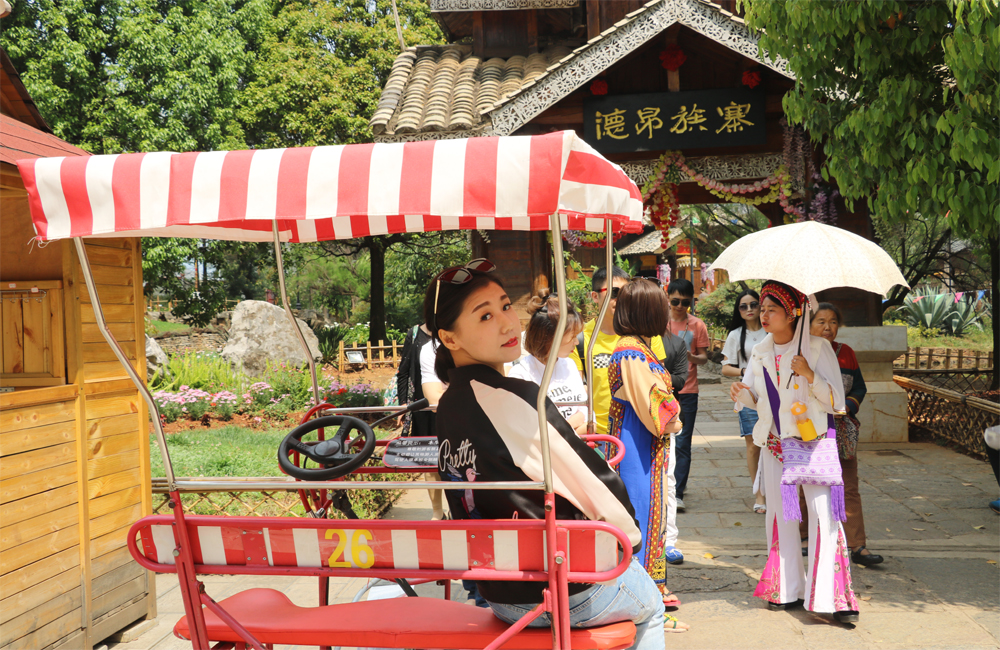 哈尔滨去云南旅游攻略自由行攻略,云南自由行攻略费用