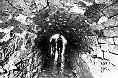 中国有哪些逆天的*物文**?