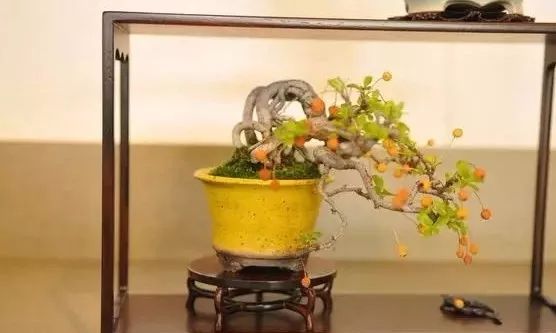 大师是怎么炼成的免费,真正的大师是怎么练成的