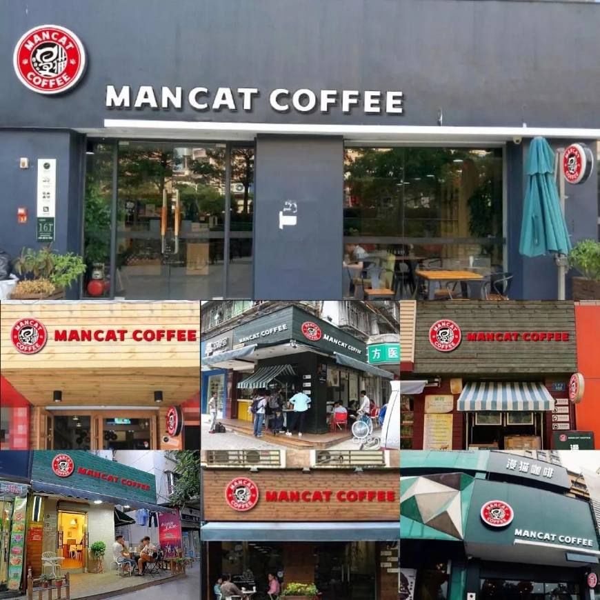 漫猫咖啡:小门店微投资,为你量身打造的偶像级猫星咖啡馆