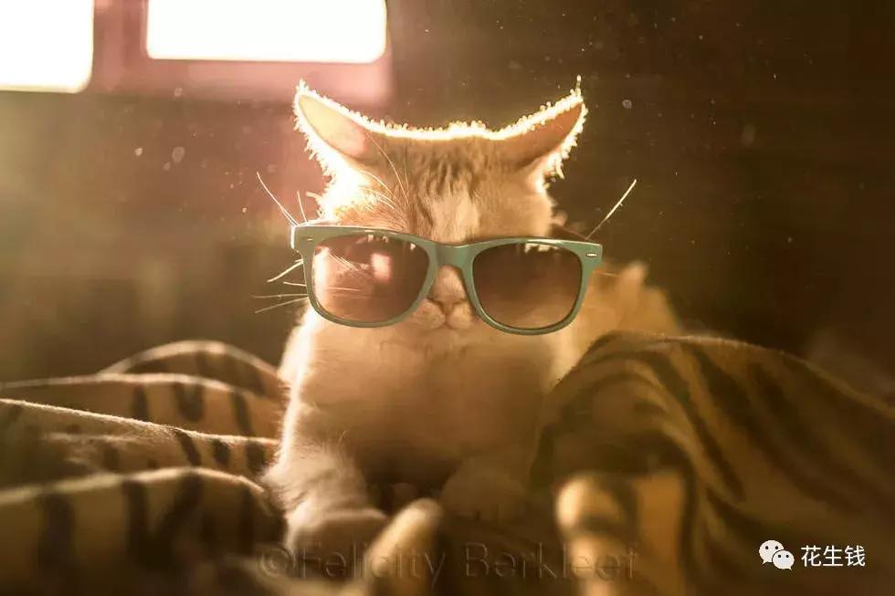 「花生钱」联通宽带资费调整,看看您所在地区有变化吗?