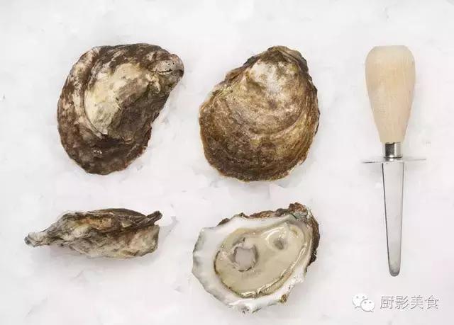 西雅图海边生蚝,全球最好吃的生蚝牡蛎