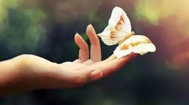 手指长短代表的感情方面,手指长短与财运的关系图