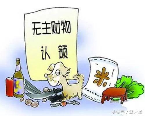 撞到动物怎么处理,开车撞到国家保护动物怎么办