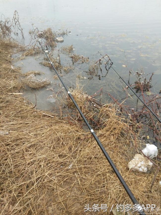 钓鱼新手如何做到钓鱼大师,一个合格钓鱼人应该具备的知识