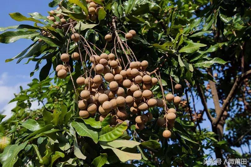 这是我的家乡闽南语,这是我的家乡全部视频