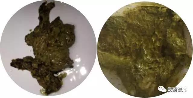 宝宝拉绿便最常见的10种原因,宝宝绿便11种改善方式