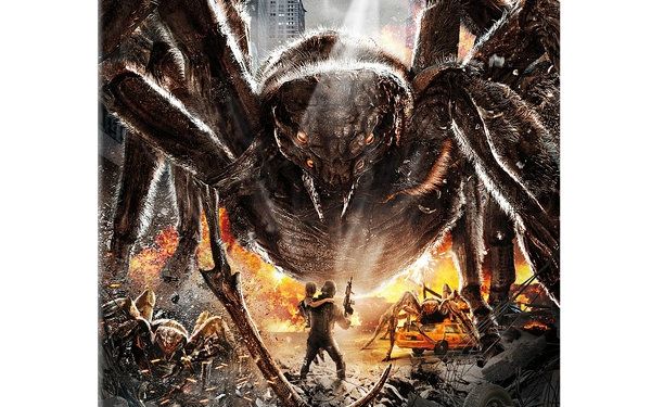 李冰冰拿蜘蛛搞怪,李冰冰与蜘蛛亲密互动