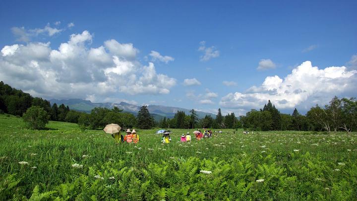 长白山不报团攻略,长白山不坑攻略