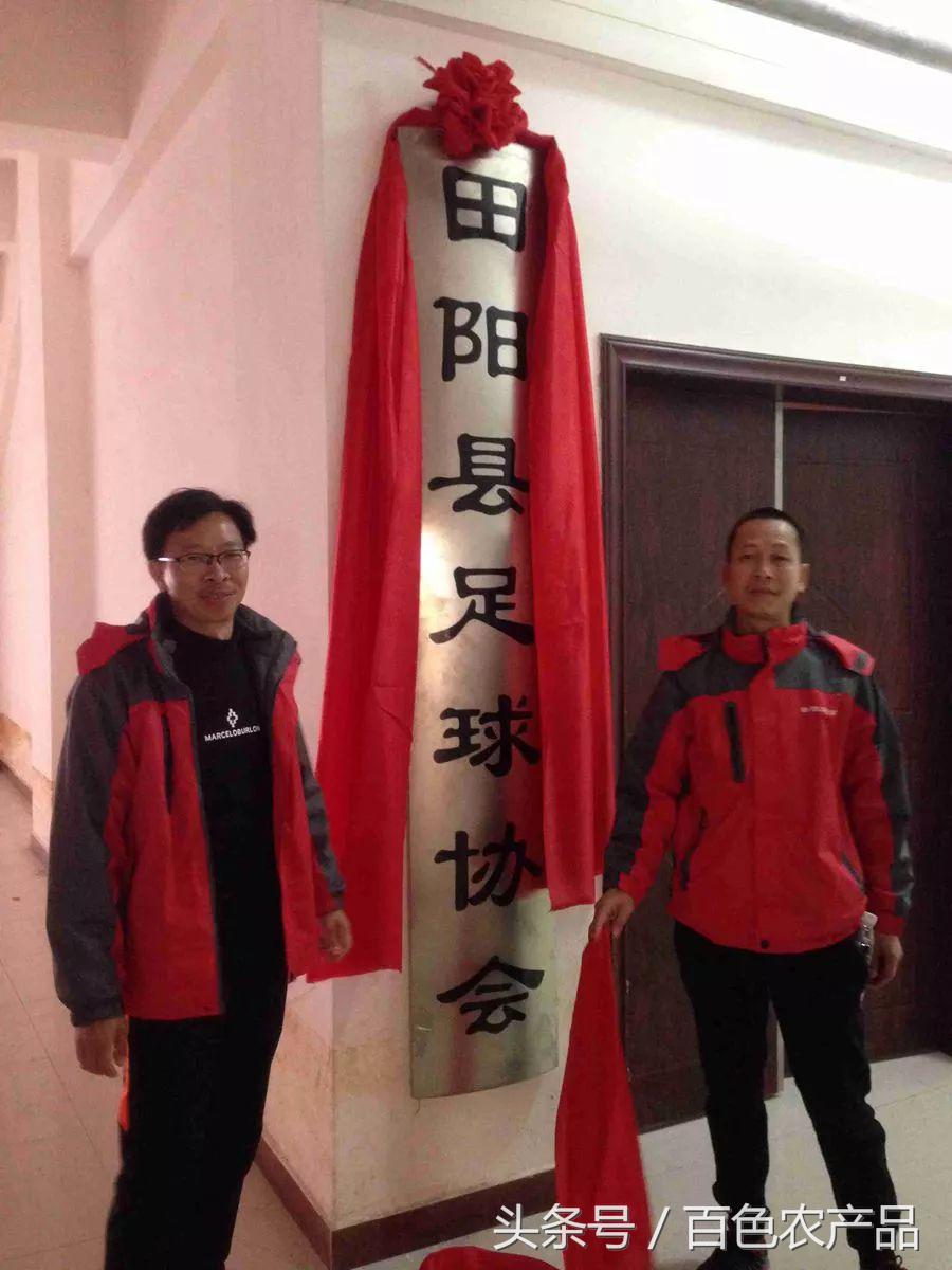 田阳足球队,田阳足球