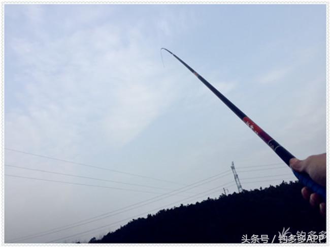 元旦出钓获大鲫，新年来个开门红