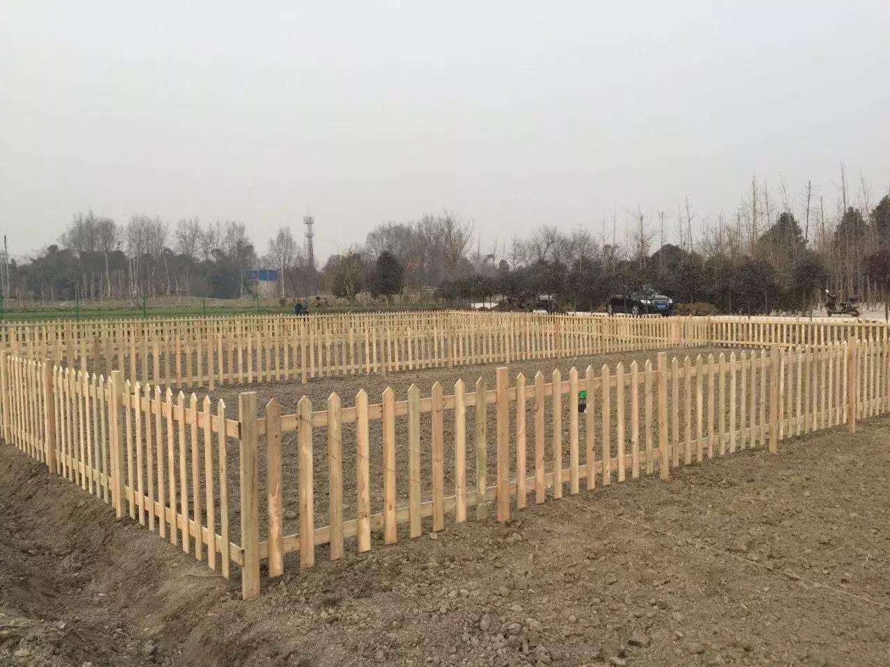 地还是那些地,人还是原来那些人,开心田园帮助农民致富大转变!