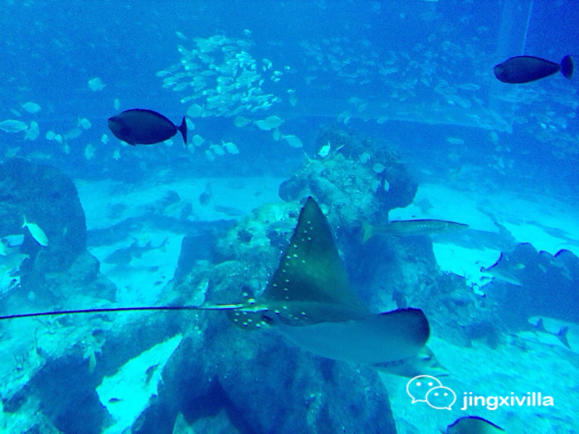 马尔代夫高性价比岛屿,马尔代夫一价全包岛有哪些