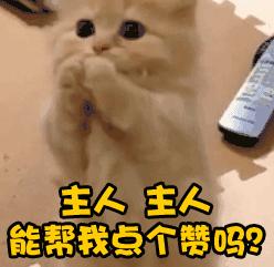 必须从韩国带回来的几样化妆品