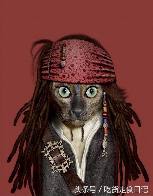 PETS ROCK x STARBUCKS 联名限量!又一波新的汪星人提前发售!