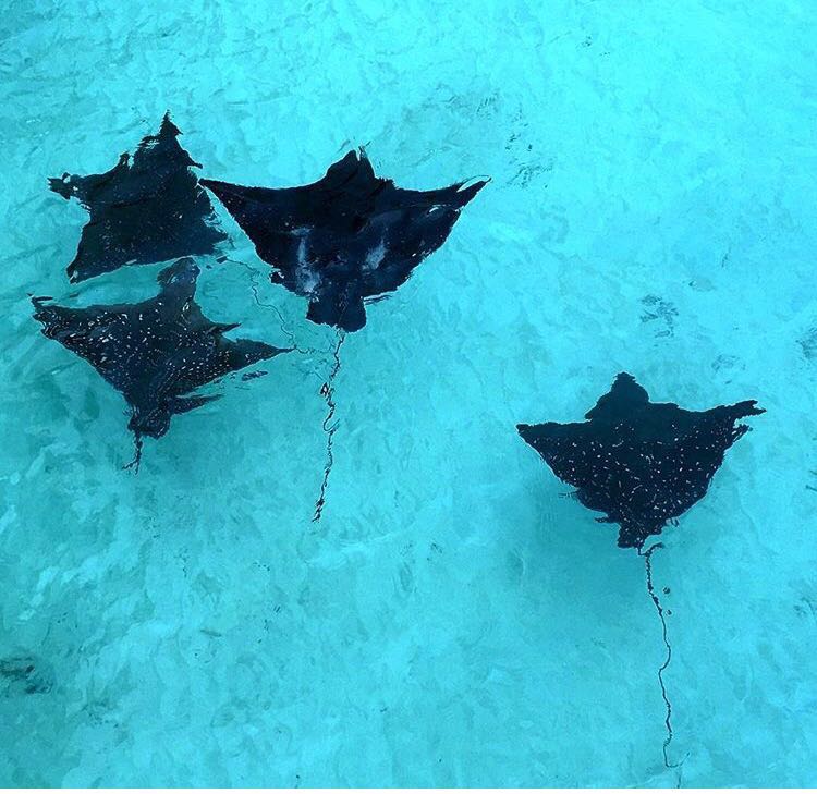 马尔代夫高性价比岛屿,马尔代夫一价全包岛有哪些