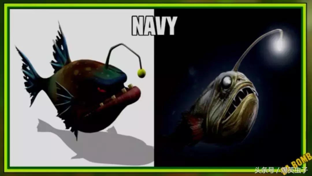 爆笑虫子小粉虫怎么来的,快速了解爆笑虫子