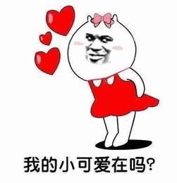 每只黔猴都需要一包“去污粉”