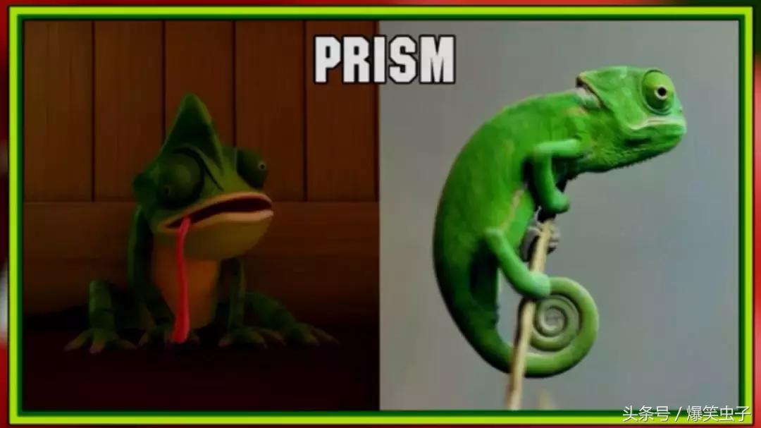 爆笑虫子小粉虫怎么来的,快速了解爆笑虫子