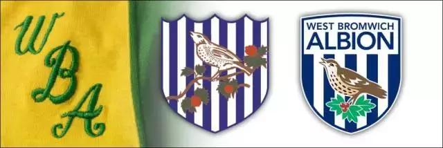 海鸥老鹰天鹅,英格兰俱乐部为什么都喜欢用鸟来做队徽?