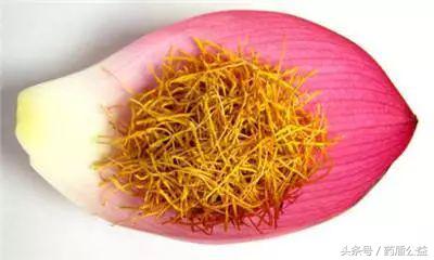 水里怎么辨别真玉,真假西红花的区别