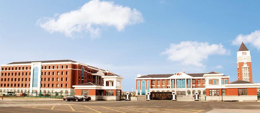 上海知名大学排名一览表,上海双语国际学校排名