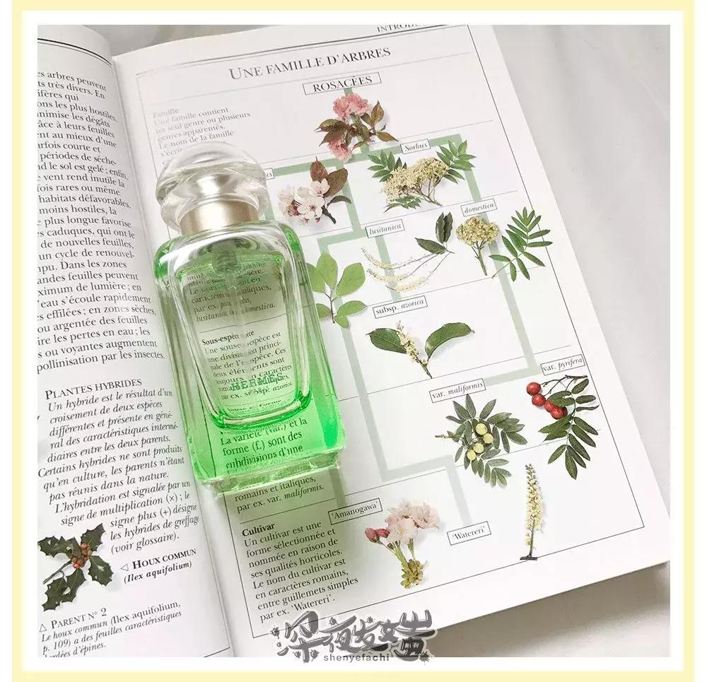 粉丝量20万以上的好物分享,粉丝过百万的分享好物