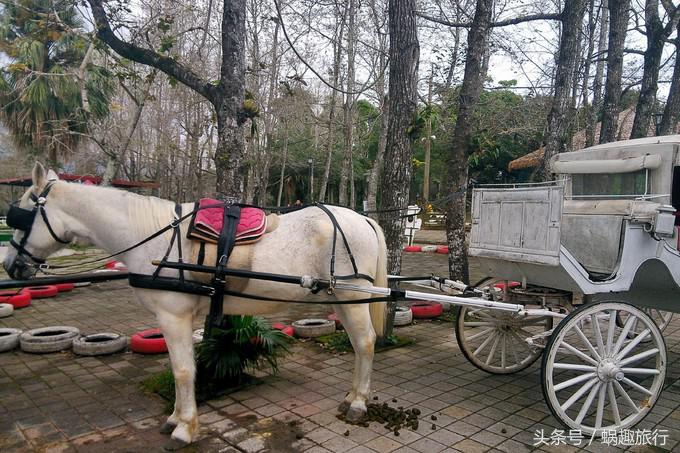 去台湾跟团游还是自由行,第一次去台湾跟团好还是自由行好