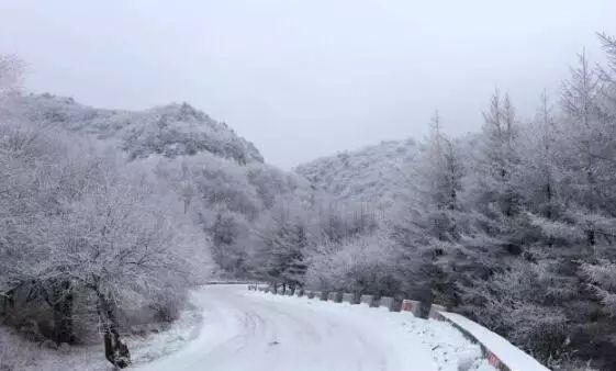 寒气席卷、叶汽成霜……陕西6处大美雾凇奇景上线！