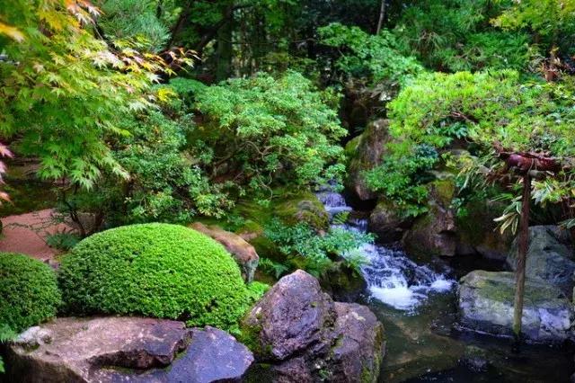 甯︿綘鍘绘棩鏈湅澶滄櫙,涓滀含甯︿綘娓歌鏃ユ湰缇庢櫙